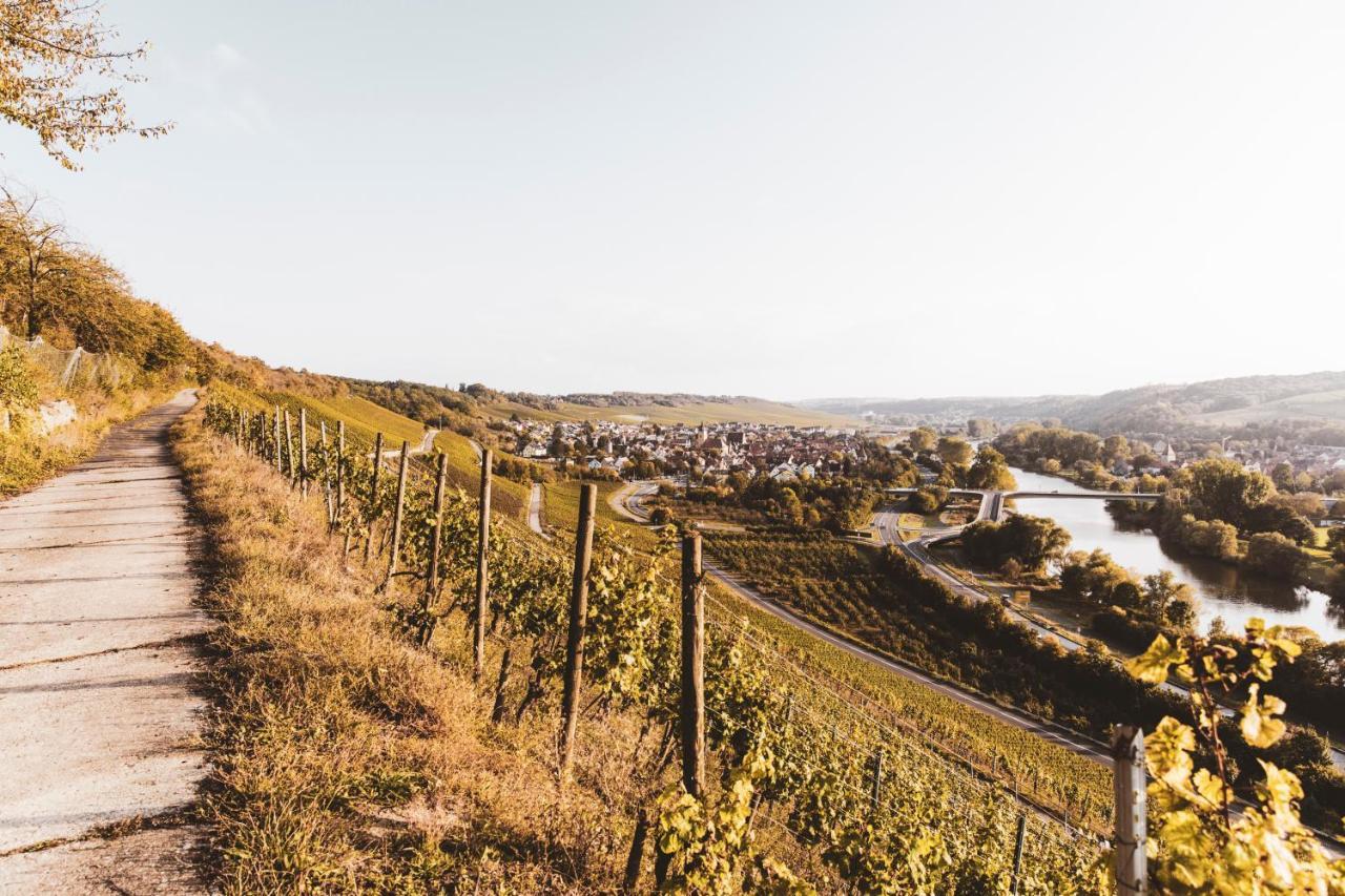 Отель Weingut Pastoriushaus - Artur Steinmann Зоммерхаузен Экстерьер фото